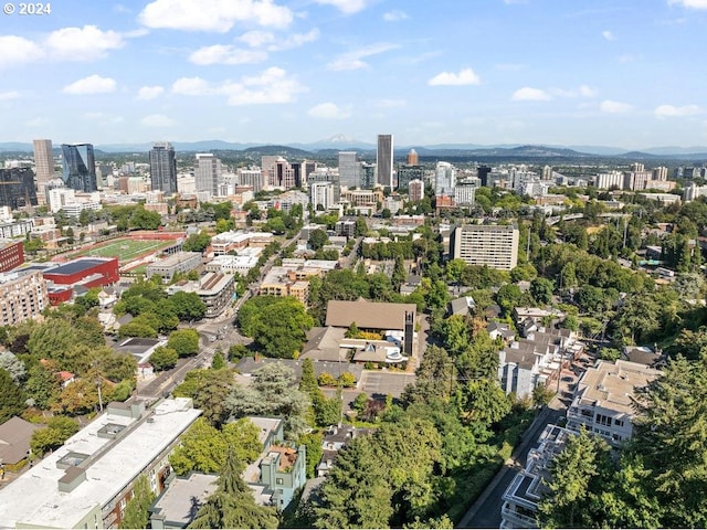 birds eye view of property featuring a mountain view