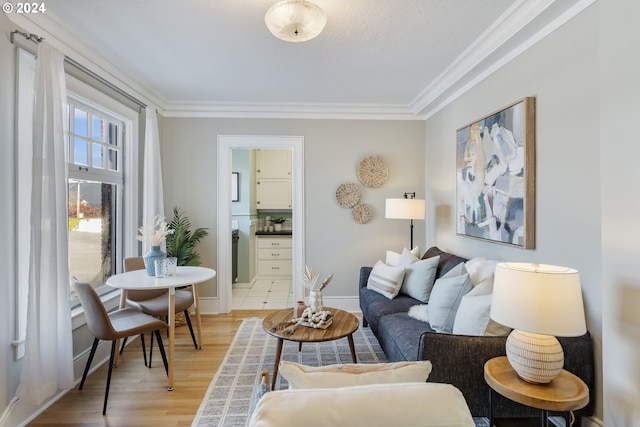 living room with crown molding and light hardwood / wood-style flooring