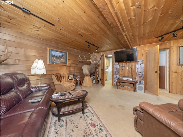 living room featuring wooden walls and rail lighting