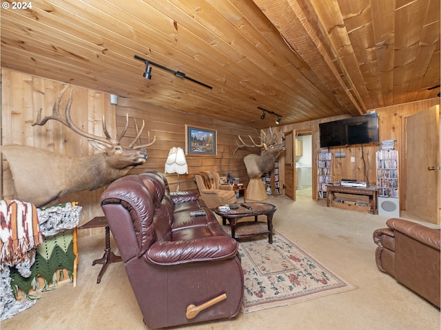 carpeted living room featuring wooden ceiling, rail lighting, and wooden walls