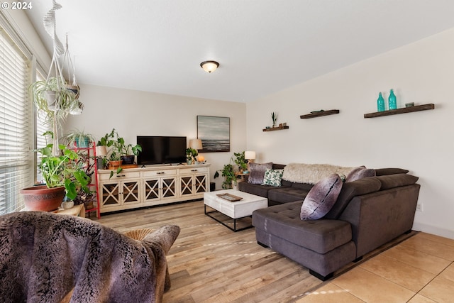 living room with hardwood / wood-style floors