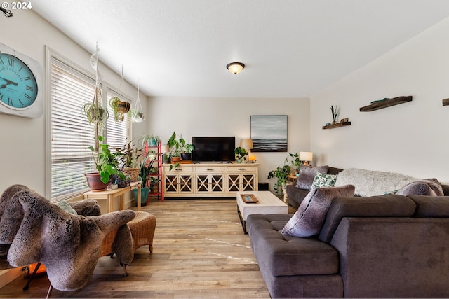 living room with light hardwood / wood-style flooring