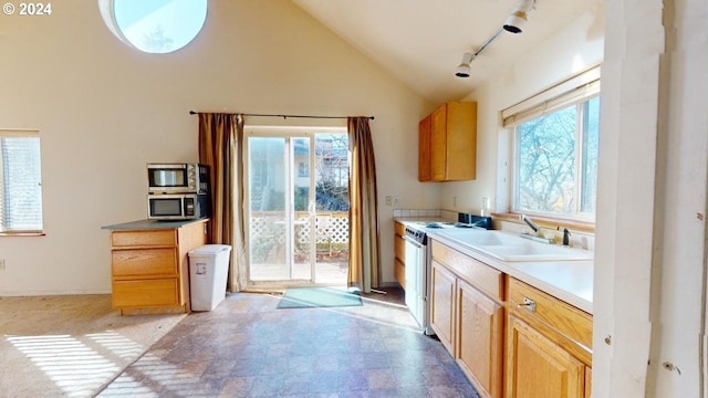 kitchen with high vaulted ceiling, sink, a wealth of natural light, and track lighting