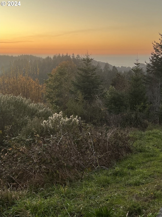 view of nature at dusk