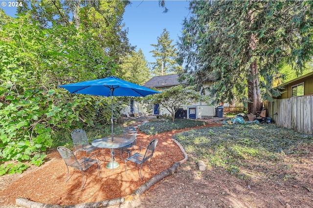 view of yard featuring a patio area and a storage shed