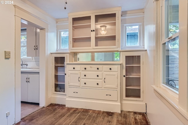 spacious closet with dark hardwood / wood-style floors