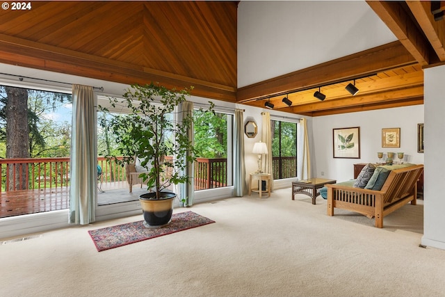 sunroom / solarium featuring vaulted ceiling with beams, track lighting, and wood ceiling