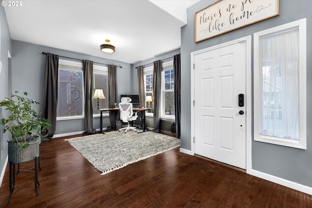 entrance foyer featuring dark hardwood / wood-style flooring