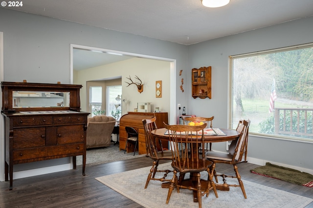 dining area featuring a healthy amount of sunlight and dark hardwood / wood-style floors