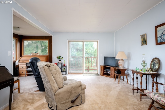 living room with a healthy amount of sunlight and light carpet