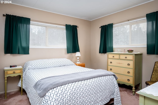 bedroom with light colored carpet, multiple windows, and crown molding