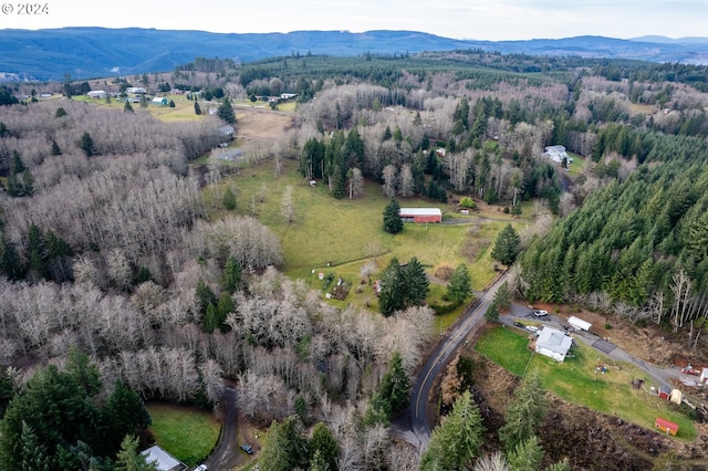 birds eye view of property featuring a mountain view