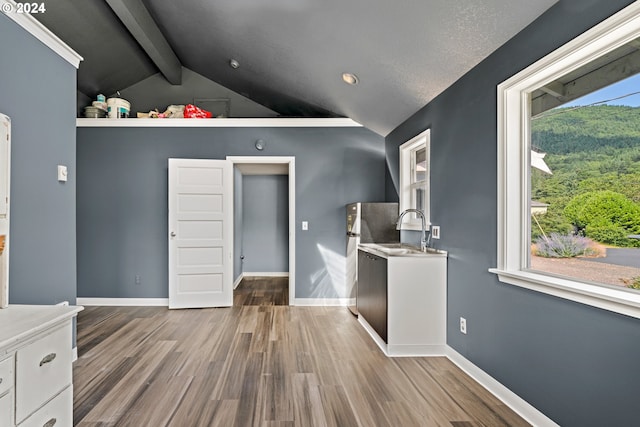 interior space featuring vaulted ceiling with skylight, a textured ceiling, dark hardwood / wood-style floors, and plenty of natural light