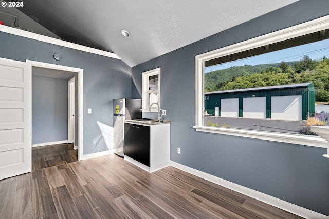 interior space with a textured ceiling, lofted ceiling, and dark hardwood / wood-style flooring