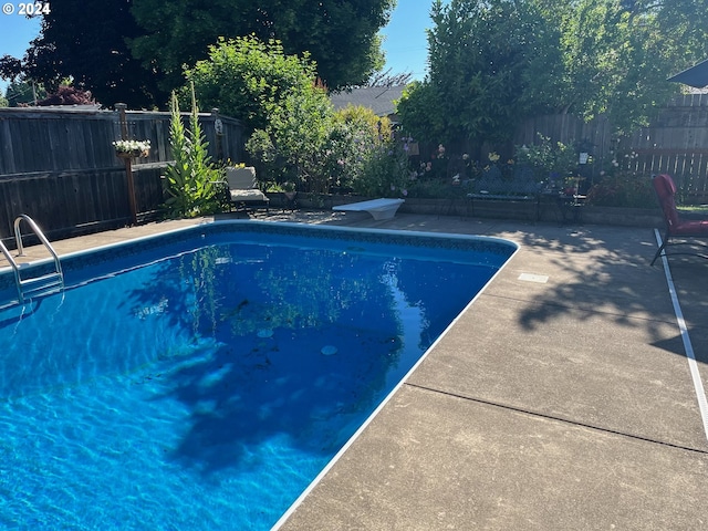 view of swimming pool featuring a diving board and a patio