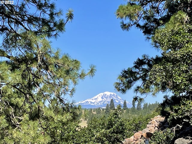 Rose Anns Way, Goldendale WA, 98620 land for sale