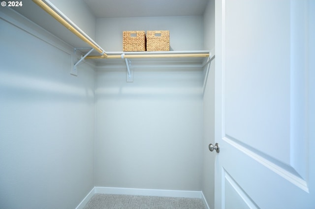 spacious closet with carpet flooring