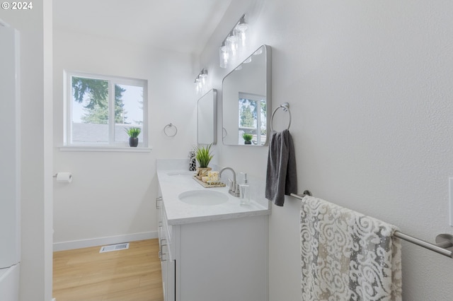 bathroom with wood-type flooring and dual bowl vanity