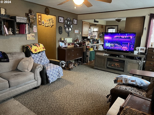 carpeted living room with ceiling fan and a textured ceiling