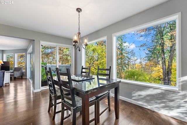 dining room with a chandelier and dark hardwood / wood-style floors