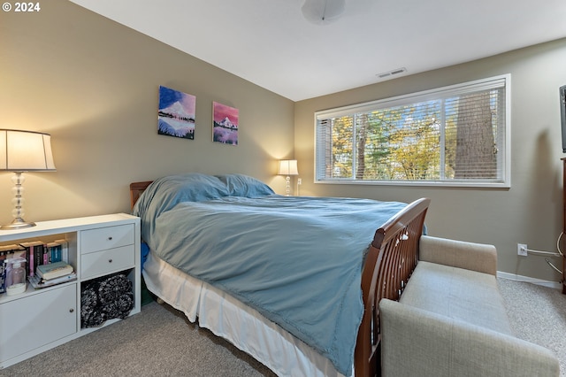 bedroom with carpet floors