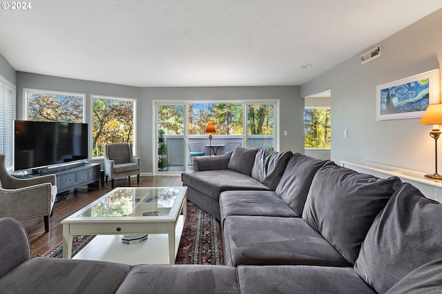 living room featuring a textured ceiling, a wealth of natural light, and dark hardwood / wood-style floors