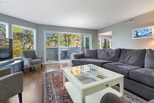 living room featuring dark wood-type flooring