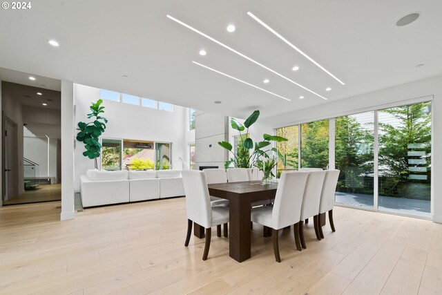 dining room with light wood-type flooring and plenty of natural light