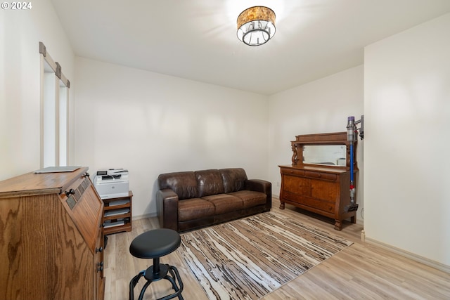 living room with light wood-type flooring