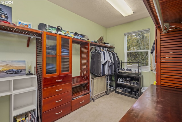 walk in closet with light colored carpet