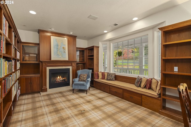 sitting room with a textured ceiling