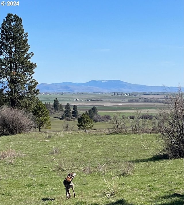 view of mountain feature featuring a rural view