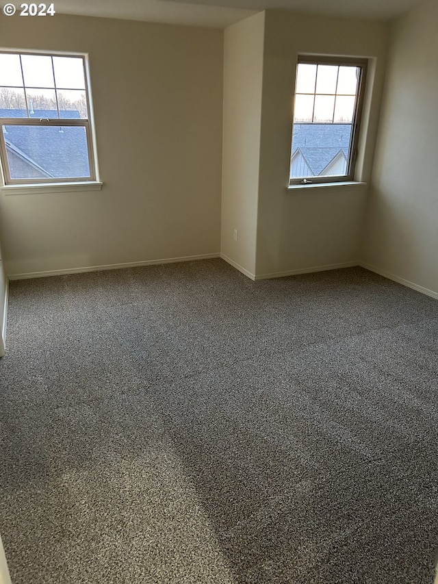 spare room with carpet floors