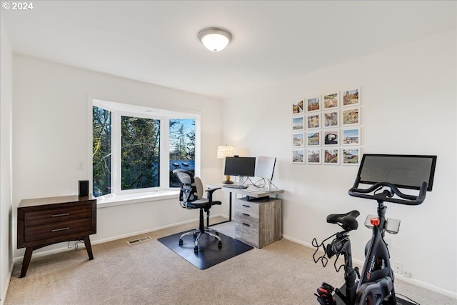 home office with light colored carpet