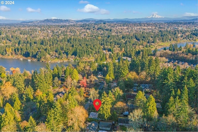 birds eye view of property featuring a water and mountain view