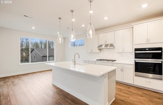 kitchen with white cabinetry, stainless steel appliances, sink, and a kitchen island with sink