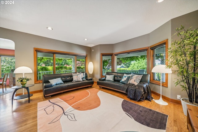 living room with light hardwood / wood-style floors