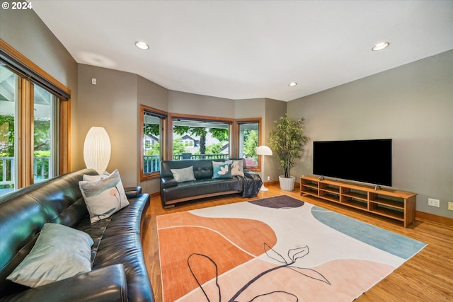 living room featuring hardwood / wood-style floors