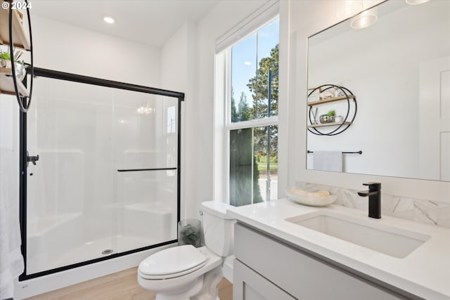 bathroom featuring vanity, hardwood / wood-style flooring, toilet, and walk in shower