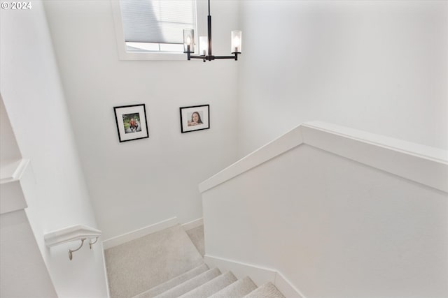 staircase featuring carpet floors