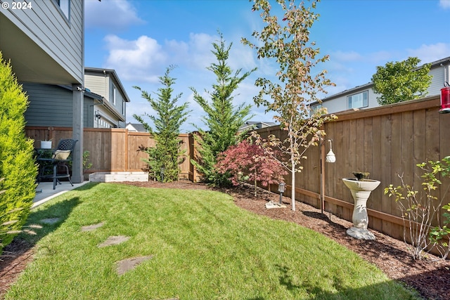 view of yard with a patio area