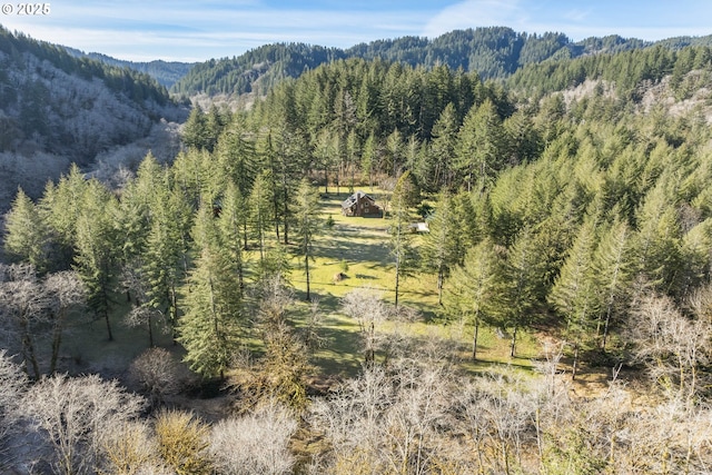 property view of mountains featuring a wooded view