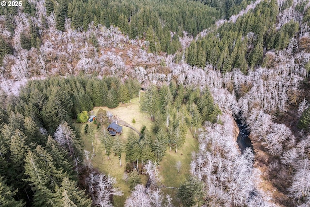 aerial view with a forest view