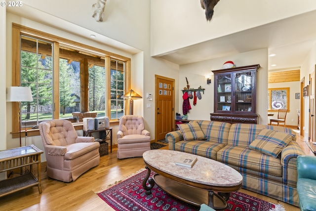 living area with wood finished floors