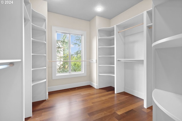 spacious closet featuring dark hardwood / wood-style floors