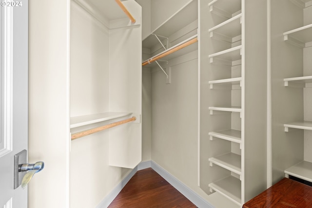 spacious closet with dark hardwood / wood-style flooring