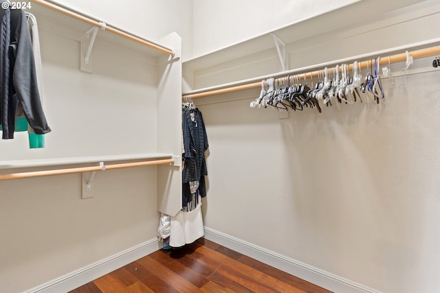 spacious closet featuring dark hardwood / wood-style floors