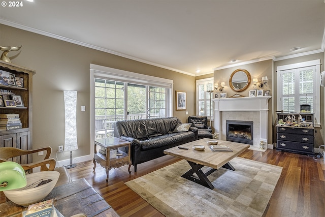 living room with dark hardwood / wood-style flooring, a fireplace, and ornamental molding