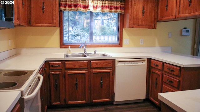 kitchen with dark hardwood / wood-style flooring, white dishwasher, and sink