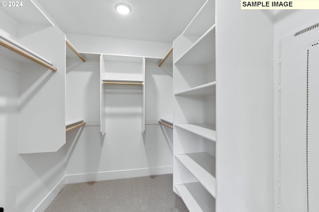 spacious closet with light colored carpet